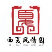 第七届西北五省大众滑雪邀请赛启幕 西夏区冰雪文旅盛宴燃动冬季