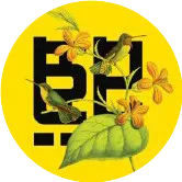 中国最大新型城镇化住宅开发商“碧桂园”升级品牌LOGO