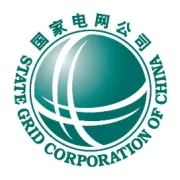 【中国青年报】青年突击队护航春耕用电