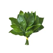 赵四都出轨了，而你还没有女朋友！