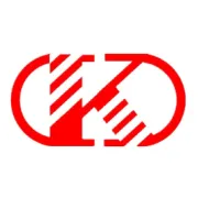 节日新生：从消费狂欢到品牌深耕的思考