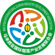 7 Strategic Roles of MIDIDA