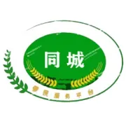12岁汶川网红“猪坚强”已经走不动了？饲养员：能走，只是走得慢