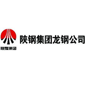 陕钢集团龙钢公司