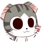 tiktok公会运营操作流程, 三星Tiktok运营方法论