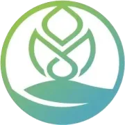 深度拆解跨境税务合规 6 大模式，轻松避开巨额补税陷阱！