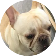 FB广告素材从0到爆款：测试了大量素材之后，我总结出了这套完整方法论