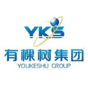 有棵树李志强：外汇管理成为跨境电商软实力