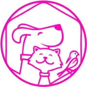 狗在迪拜过着什么样的日子呢