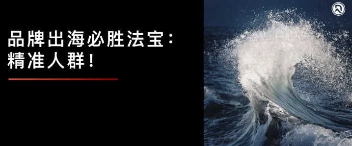 亚马逊宠物类大卖：精准客群是出海必胜法宝！