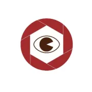 财报分析：片仔癀 VS 云南白药