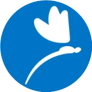 2月3日 || 蓝蜻蜓AI志愿【永城校区】 || 天天看日报，填报我知道