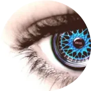 12月初马士基复航苏伊士？苏伊士运河：Yes，马士基: 复你妹.