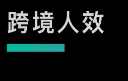 海外品牌站人效82万刀每年，你达标了吗？