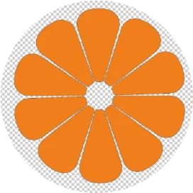 中安咨询