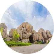 “浇”个朋友吧 | 植树节创意团建，3.12种一棵树