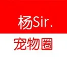 作者头像