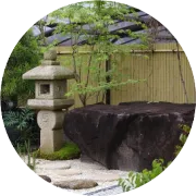 植物也看气质，哪种花卉更适合你的家？