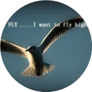 商务本如何选择？英特尔高性能酷睿i7轻薄笔记本选购