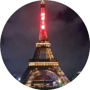 中国兽用疫苗出口市场分析报告（2025年11月）