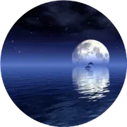 小红书种草，如何种出活人感？