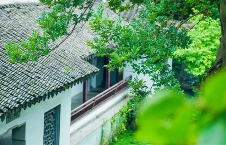 【短文】资本眼中的跨境电商：中国跨境电商卖家经历了什么样的角色变迁