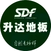 升达地板   水母+选材  清新装