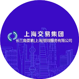 长三角要素公司