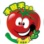 秋茬西红柿要想高产，需要浇几次水、冲几次肥？可别有遗漏