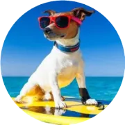 备货越多死得越快？亚马逊老运营用2万块仓储费换来的教训