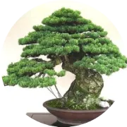 这么热的天，花溪水上乐园发福利了！！！