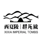 西夏陵项目上新！沉浸式多人XR奇幻考古探秘体验等你来玩~