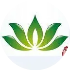 《神圣的灵光 Spark of the Divine》 二