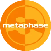 metaphaseについて