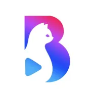 数字电商平台：连接世界的商业新纽带