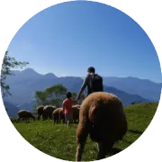 北京君正(300223)：端侧AI算力500倍跨越，车规存储SRAM全球第一！3大逻辑