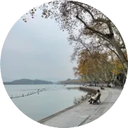 A股上市公司出海记