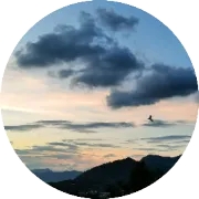 承德北部茅荆坝地热田地热流体的水化学和同位素特征及其成因