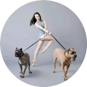 采购