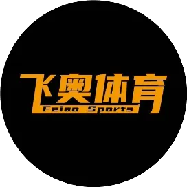 飞奥体育