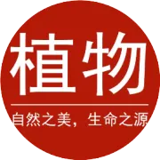 虎皮兰正确扦插方法，扦插的时间