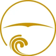 《悟空》创下国产游戏神话！想蹭这波流量的卖家一定要看！