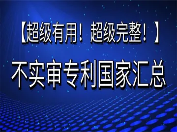 不实审专利国家汇总