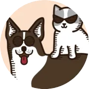 无谷粮低敏是骗局？狗狗到底吃什么过敏？|王牌宠物课堂