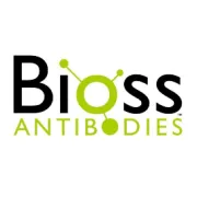 Bioss 星推荐 | CD44 抗体