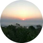 云南普洱景迈山古茶林文化景观 可填补茶类遗产空白