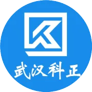 江西九江市建设工程质量监督站领导来我司周大福金融中心项目考察
