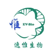 干细胞外泌体治疗糖尿病足，凝胶剂型效果更佳