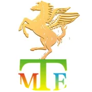 天玛TME-J07(12眼摇头激光卫星)-J07B(13眼摇头激光卫星)