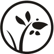 凯多多羽感无暇粉底液